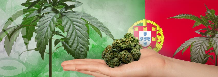 Nazioni Più Tolleranti Nei Confronti Della Cannabis: Portogallo